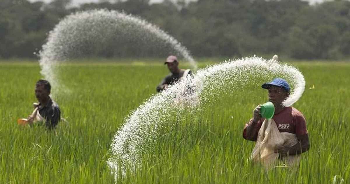 দুই দেশ থেকে ৯০৩ কোটি টাকার সার কেনার সিদ্ধান্ত
